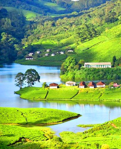 Enchanting Kerala